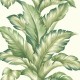 Papel pintado Wallquest Maui Maui Big Leaf TP81204