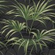 Papel pintado Wallquest Maui Maui Open Palm Leaf TP80600