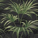 Maui Maui Open Palm Leaf TP80600 Wallquest Papel pintado