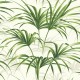 Papel pintado Wallquest Maui Maui Open Palm Leaf TP80610 a