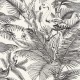 Papel pintado Caselio Moonlight Tropical World MLG101039000