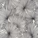Papel pintado Caselio Moonlight Coconut MLG101249000