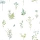 Papel pintado Saint Honore Evergreen 1570-7343