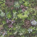 Evergreen 7322 Papel pintado