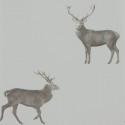 Elysian Evesham Deer 216619 Papel pintado