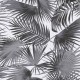 Papel pintado Khroma Wild Ratan WIL103