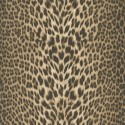 Roberto Cavalli nº 7 RC 18029 Papel pintado